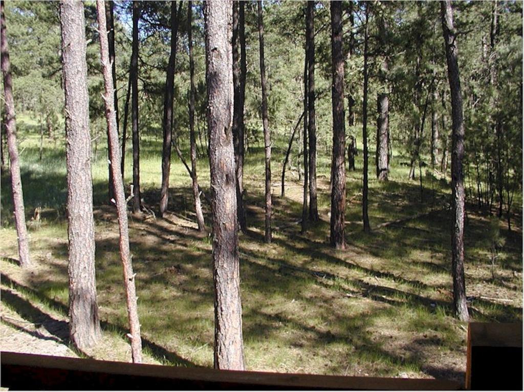 Comanche Lodge Къстър Стая снимка